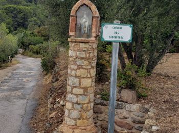 Tocht Stappen Puget-Ville - Ruine de St Sauveur et chapelle Ste Philomène - Photo