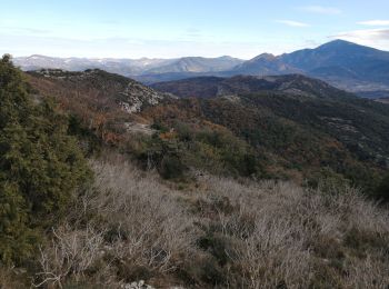 Excursión Senderismo Sablet - le saint amand et prebayon - Photo