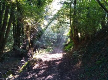 Tocht Noords wandelen Neupré - plainevaux - Photo