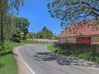 Tour Zu Fuß Obory - Žlutá značka Vrchy-Žebrák - Photo