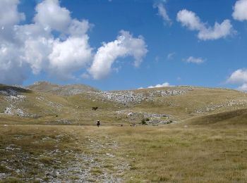 Percorso A piedi  - Glavaš-Dinara_brezovac - Photo