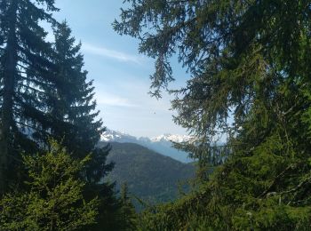 Tour Wandern Allevard - boucle le nid d'aigle, la maison forestière  - Photo