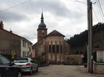 Tour Zu Fuß Celles-sur-Plaine - Sentier des Sources - Photo