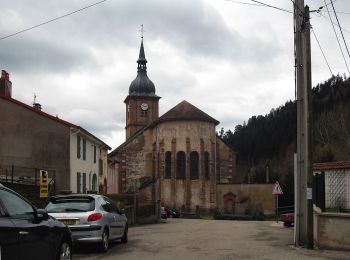 Randonnée A pied Celles-sur-Plaine - Sentier des Sources - Photo