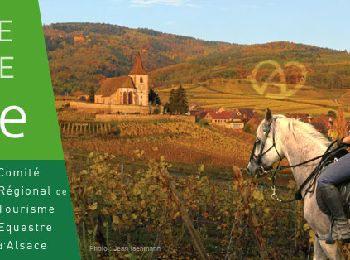 Trail Horseback riding Wingen - 2018-04-07 CRTE Alsace Loewenstein Hohenbourg Fleckenstein - Photo