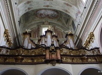 Randonnée A pied okres Senica - Náučný chodník Gazárka – Lásek - Photo