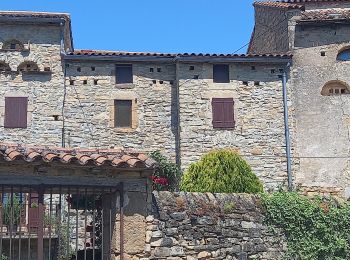 Randonnée Marche Saint-Georges-de-Luzençon - Au long du Tarn: de St-Georges-de-Luzençon à St-Rome-de-Tarn - Photo