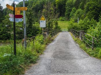 Trail On foot Horgen - Sihlbrugg Station-Sihlbrugg Dorf - Photo