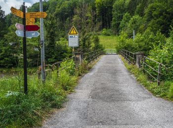 Tocht Te voet Horgen - Sihlbrugg Station-Sihlbrugg Dorf - Photo