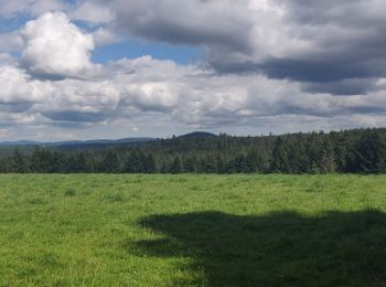 Randonnée Vélo électrique Granges-Aumontzey - berchigranges-steniole - Photo