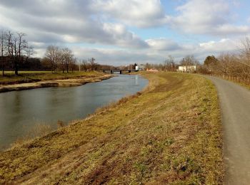 Percorso A piedi Břeclav - NS Pohansko - Photo