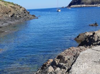 Trail Walking Portbou - Portbou le sentier des calanques - Photo