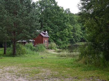 Percorso A piedi Nové Hrady - NS Novohradské příhraniční rybníky - Photo