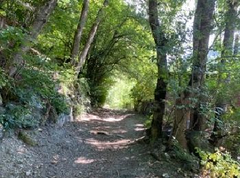 Tocht Stappen Landry - Landry... Circuit des Poussettes - Photo