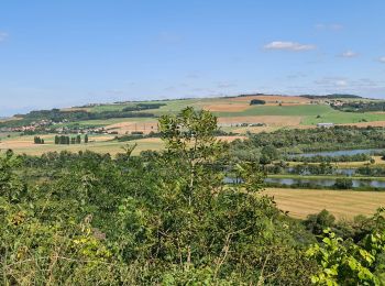 Trail Walking Dieulouard - Dieulouard - Photo