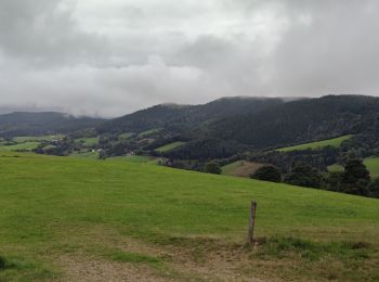 Randonnée V.T.T. Fréland - Fréland Col des Bagenelles - Photo