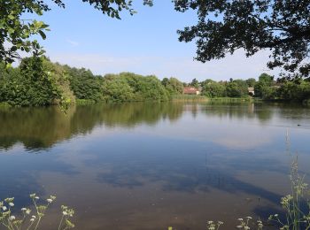 Randonnée A pied Telč - NS Otokara Březiny - Photo