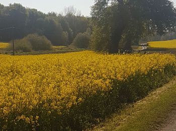 Tour Wandern Chermignac - chermignac retau - Photo