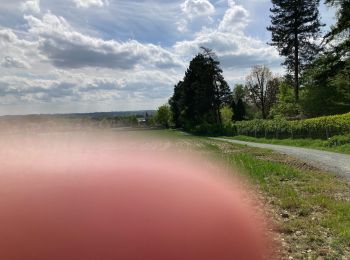 Trail Electric bike Gulpen-Wittem - Opname 1/5/24 - Photo
