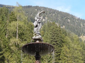 Tocht Te voet Bad Gastein - Böcksteiner Höhenweg - Photo