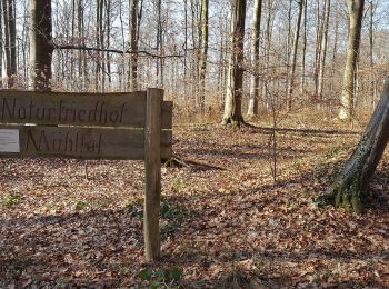 Excursión A pie Ober-Ramstadt - Rundwanderweg Ober-Ramstadt Am Kuhfalltor 4: Buchwald-Weg - Photo