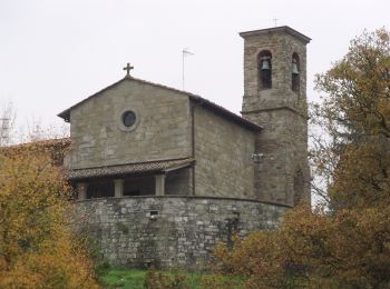 Percorso A piedi Sesto Fiorentino - Il Sentiero Delle Cime - 61 - Comune di Vaglia - Photo