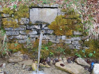 Excursión A pie San Godenzo - Antichi sentieri sul Bidente delle Celle - Photo