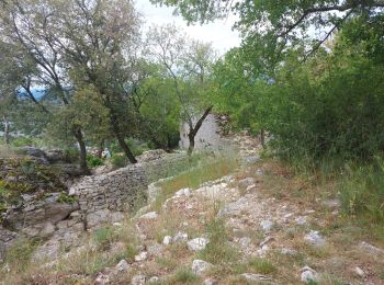 Excursión Senderismo Seynes - Seynes et la grotte des 3 ours - Photo