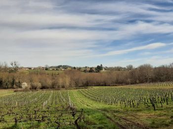 Trail Walking Lansac - Boucle Lansac-Bourg - Photo