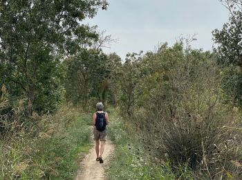 Tour Wandern Sant Pere Pescador - El fluvio san père Pescador - Photo