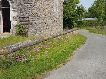 Randonnée Marche Chemillé-en-Anjou - chanzeaux  - Photo