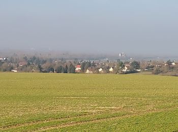 Randonnée Marche Courlon-sur-Yonne - Courlon 250216 - Photo