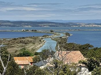 Randonnée Marche Port-la-Nouvelle - Rando ste Lucie - Photo