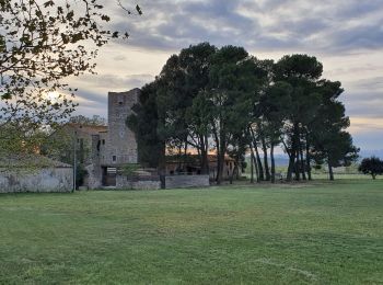 Tocht Stappen Torroella de Montgrí - Sobrestany 2024 - Photo