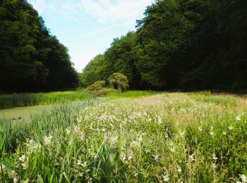 Trail Walking Hoeilaart - Varkensgat (Hoeilaart) - Rando courte - Photo
