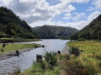 Tocht Te voet  - Te Araroa - 05 Manawatu - d Old West Road (SH57), Palmerston North to Gladstone and Poads Rds, Levin - Photo