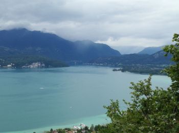 Randonnée Marche Annecy - SEMNOZ boucle depuis visitation - Photo