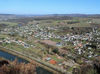 Randonnée A pied Kastel-Staadt - Felsenweg Kastel-Staadt - Photo