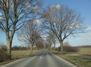 Percorso A piedi Kamen - Wanderweg O Kamen - Photo