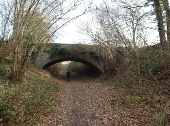 Tocht Noords wandelen Saint-Fiel - saint fiel - Photo