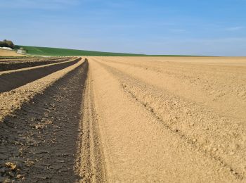 Randonnée Marche Homblières - homblières  Fonsomme  - Photo