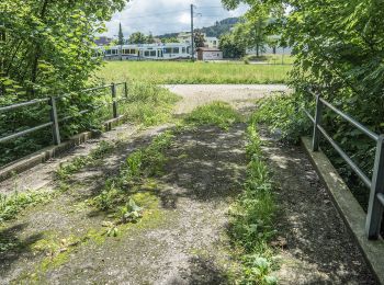 Tour Zu Fuß Schafisheim - Gränichen - Schafisheim - Photo