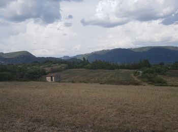 Tocht Stappen Lodève - Fontbonne Grézac - Photo