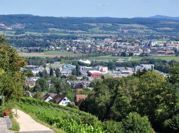 Excursión A pie Regensberg - Regensberg - Lägernweid - Photo