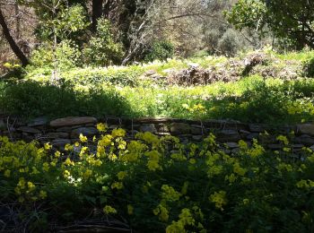 Trail On foot - Andros Routes 18 - Photo