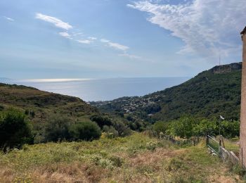 Tocht Stappen Brando - Randonnée Castello vers Erbalunga - Photo