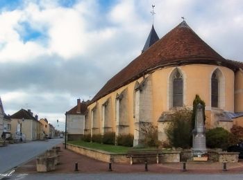 Randonnée Marche Berd'huis - Berd'huis - Nogent-le-Rotrou via Saint-Pierre-la-Bruyère 14 km - Photo