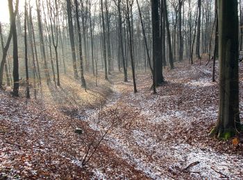 Trail Walking City of Brussels - GR126 - from Brussels Cathedral to Ransbeck - Photo