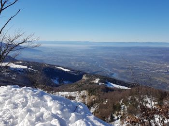 Excursión Raquetas de nieve Malleval-en-Vercors - Les Coulmes - De Patente au Pas de Pré Bourret - Photo