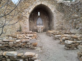 Percorso Marcia Châteauneuf-Val-Saint-Donat - les chabannes. les bories , le vieux village  de chateauneuf - Photo